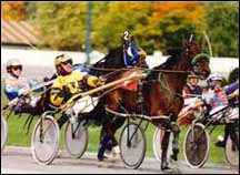 Horse racing is a popular SARATOGA activity